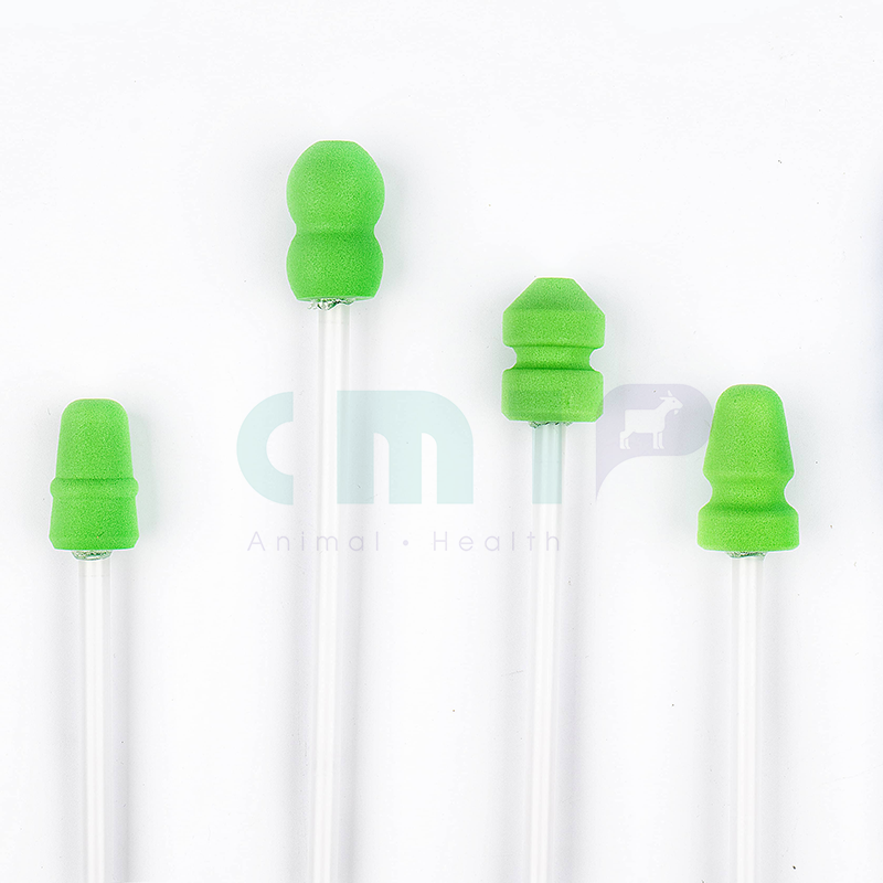 Sponge Catheter Sponge Catheter