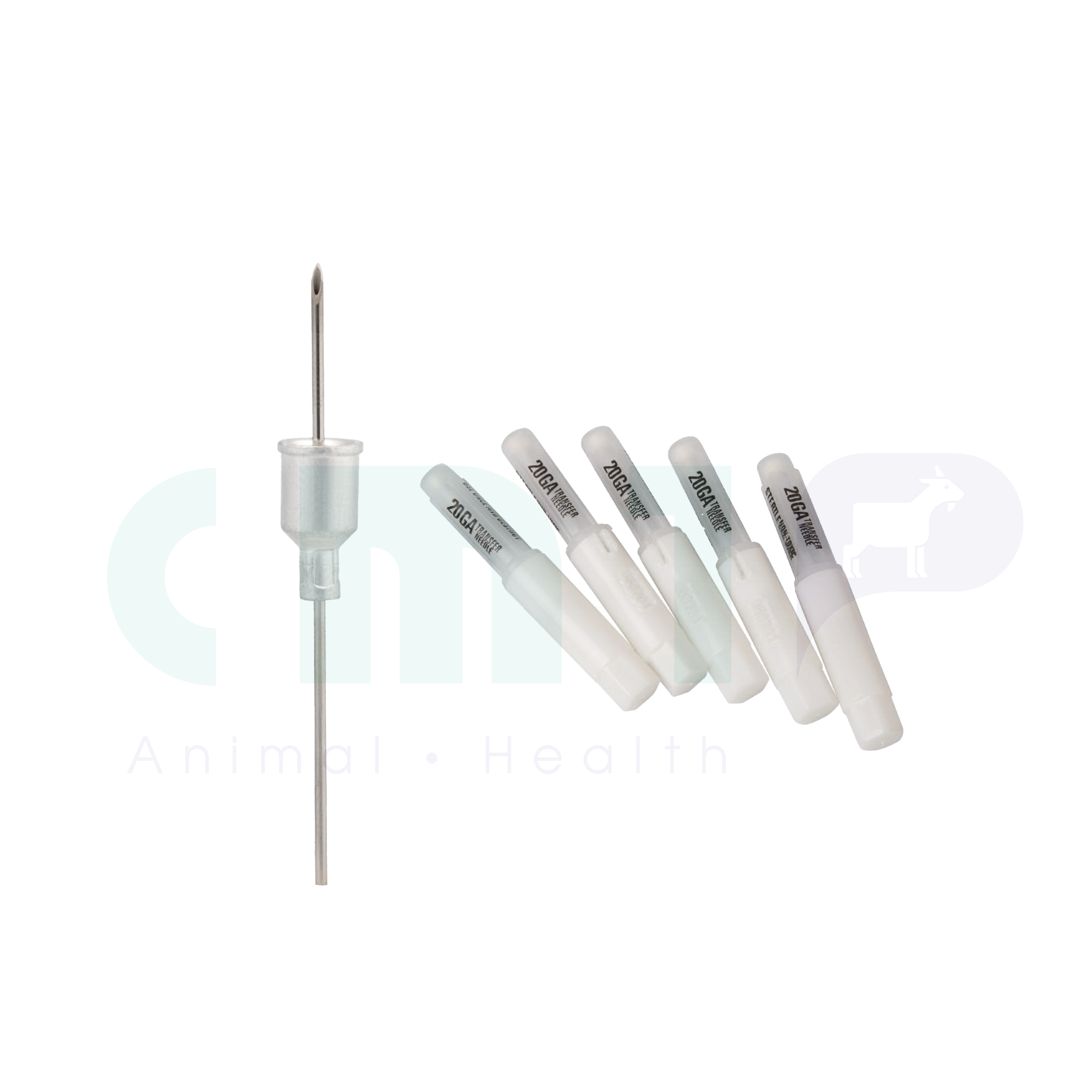 Transfer Needle
