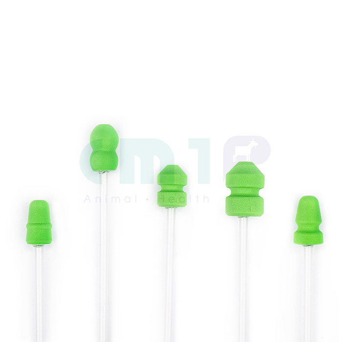 Sponge Catheter