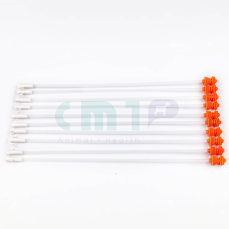 Spiral Catheter