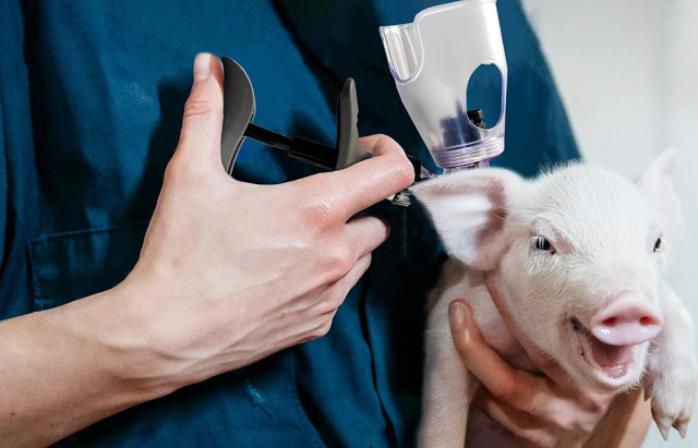 Animal Health